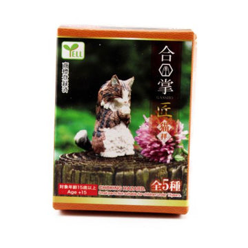 Collection Toys Gassgi Takumi Nekohai