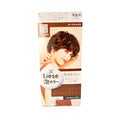 Prettia Bubble Hair Color Dark Chocolat 3.4Floz